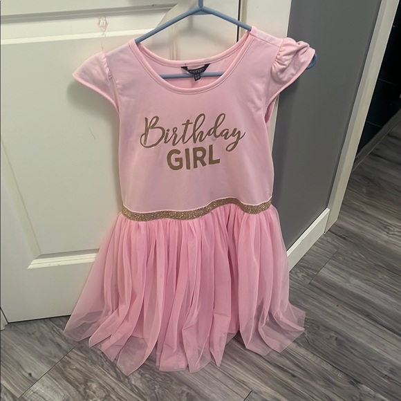 Birthday Girl Pink Dress - Picture 1 of 1